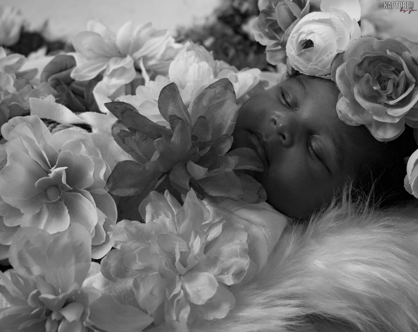 Newborn In Studio Photoshoot