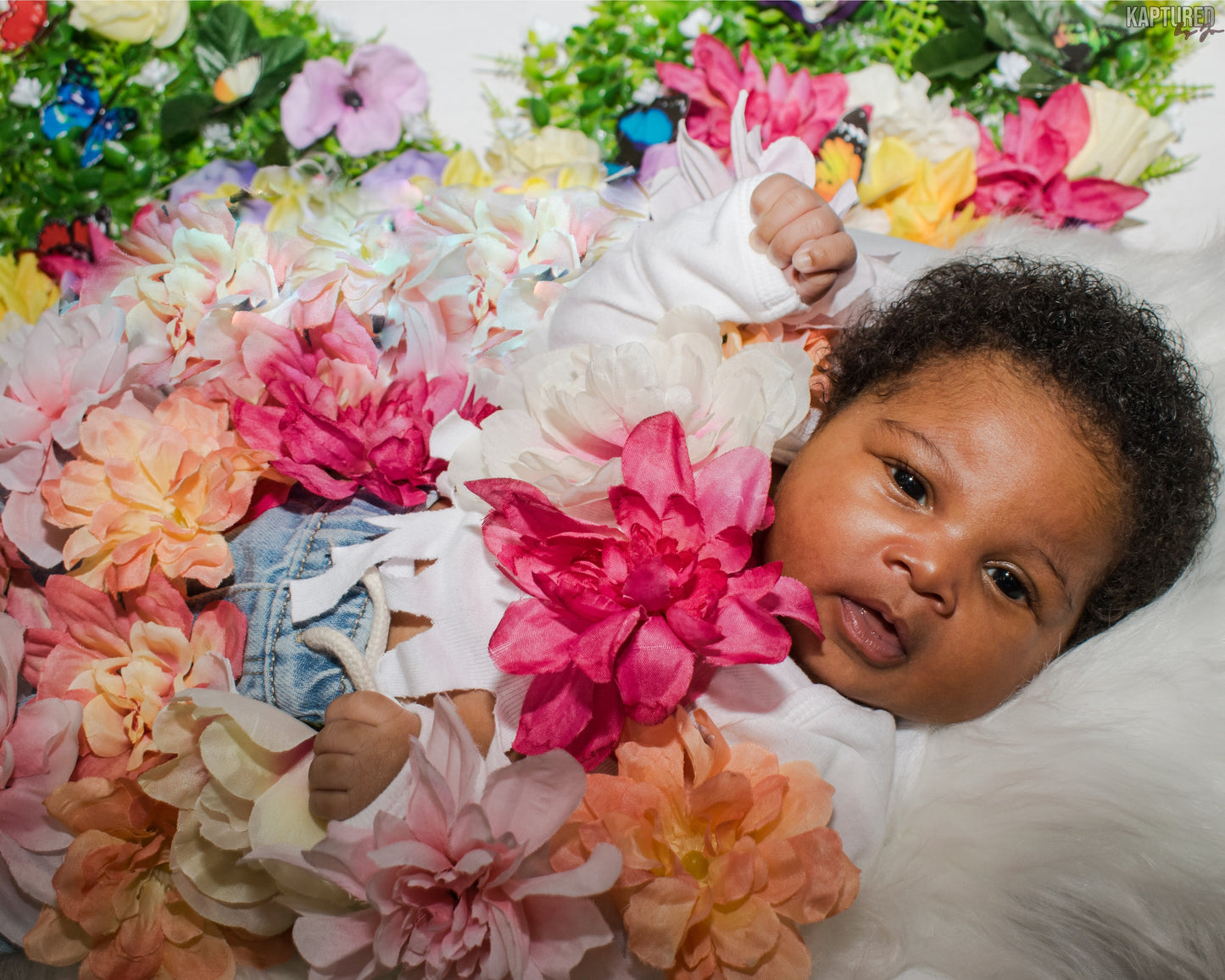 Newborn In Studio Photoshoot